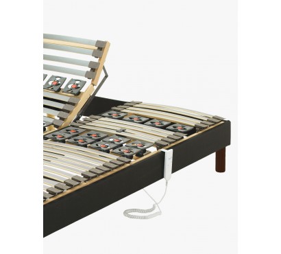 Relax Articulated Bed