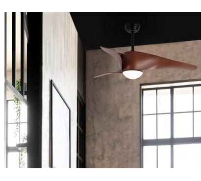 Ceiling Lamp